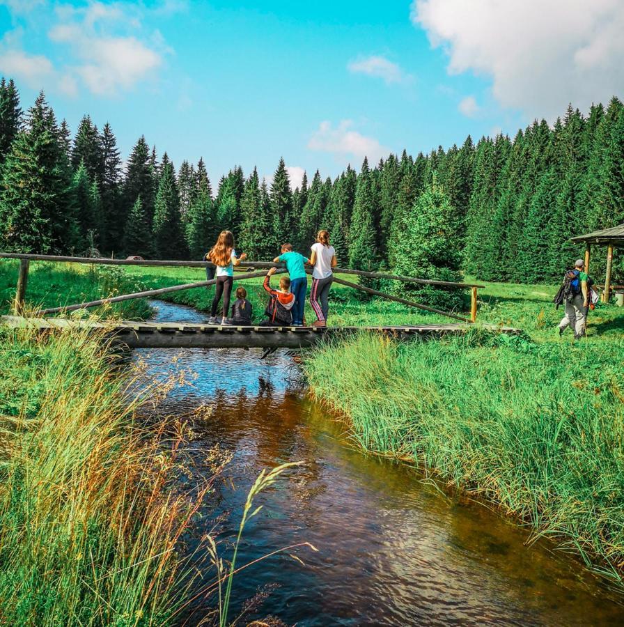Apt In The Sky - Kopaonik Kraljevi Cardaci Exteriör bild